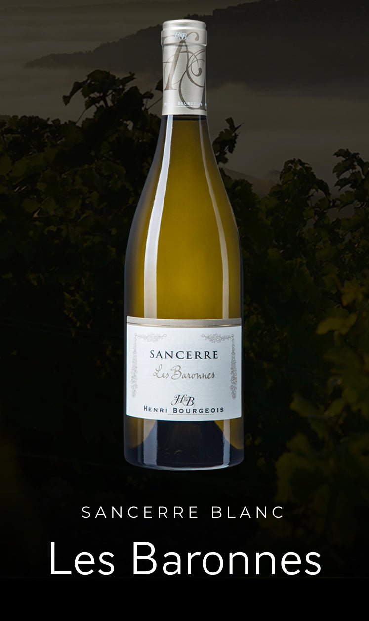 Henri Bourgeois Les Baronnes Sancerre - Vyno