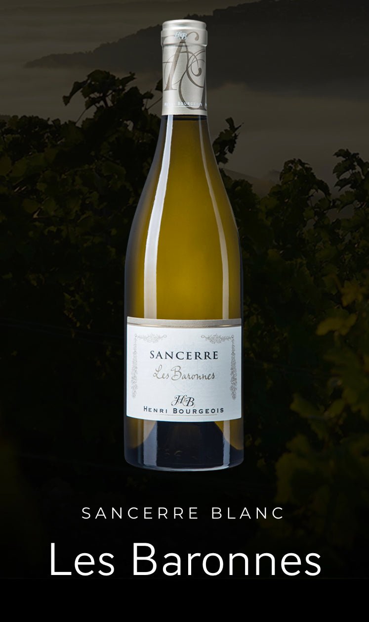 Henri Bourgeois Les Baronnes Sancerre | Exquisite Wine & Alcohol Gift Delivery Toronto Canada | Vyno